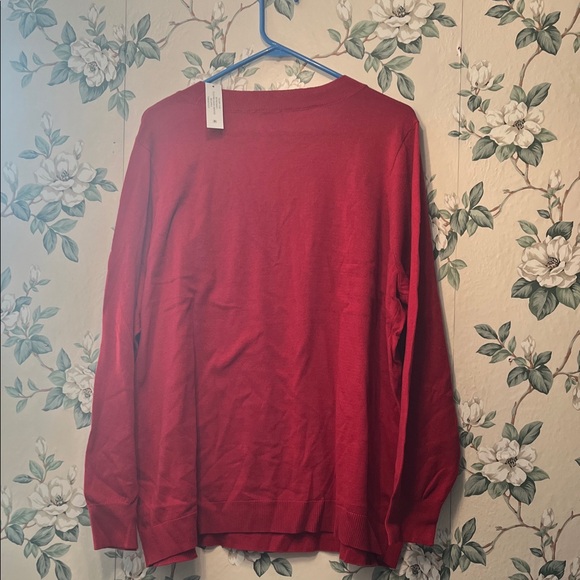 😻PLUS SIZE Terra & Sky Red V-Neck Women's Sweater - Picture 5 of 7